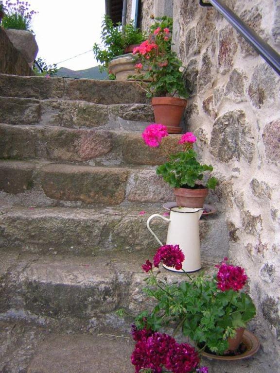 Mas Casta Nea Bed and Breakfast Thueyts Exteriör bild